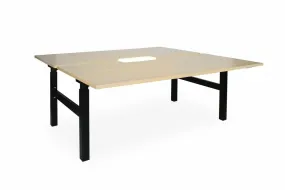 Enhance 1500mm x 800mm Electric Shared Standing Desk – Black / Autumn Oak, Height Adjustable