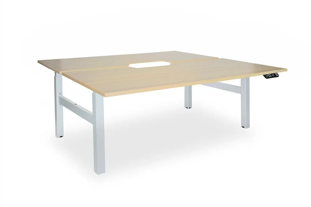 Enhance 1500mm x 800mm Electric Shared Standing Desk – White / Autumn Oak, Height Adjustable