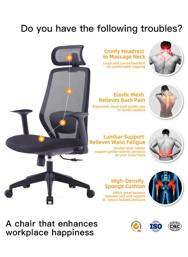 Executive High Back Mesh Office Chair With Headrest, Height Adjustable Black Frame Chair