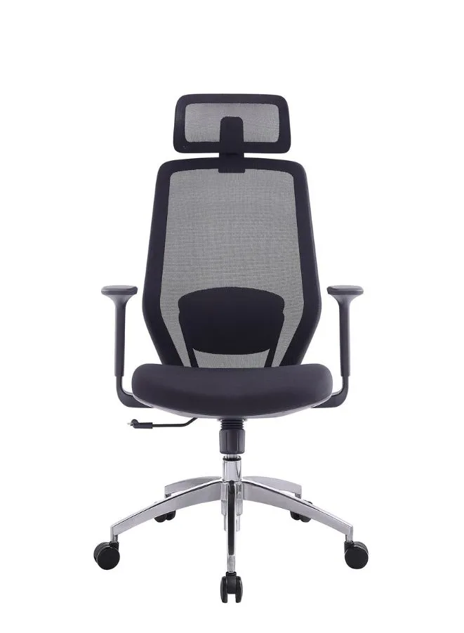Executive High Back Mesh Office Chair With Headrest, Height Adjustable Black Frame Chair