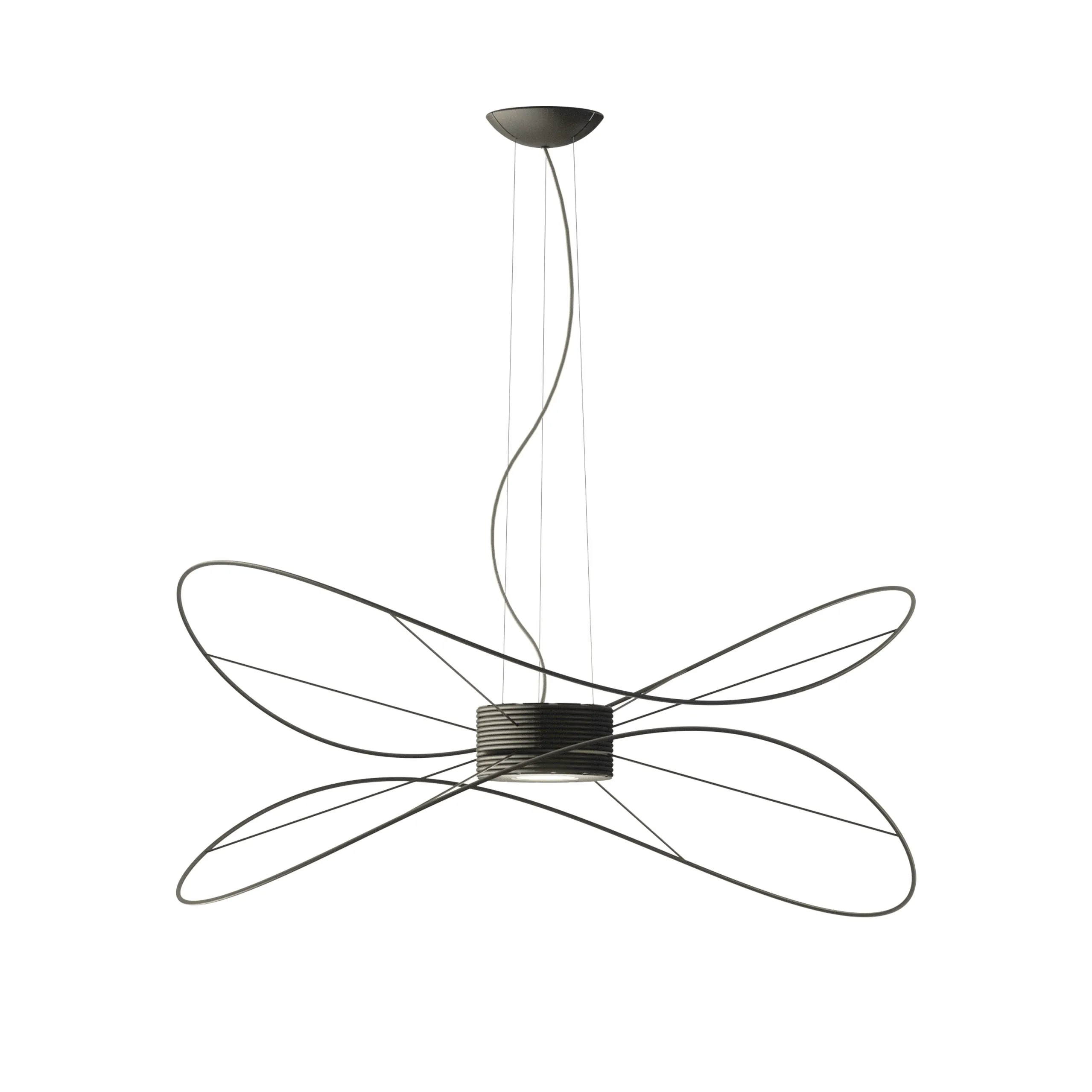 Hoops Pendant Light