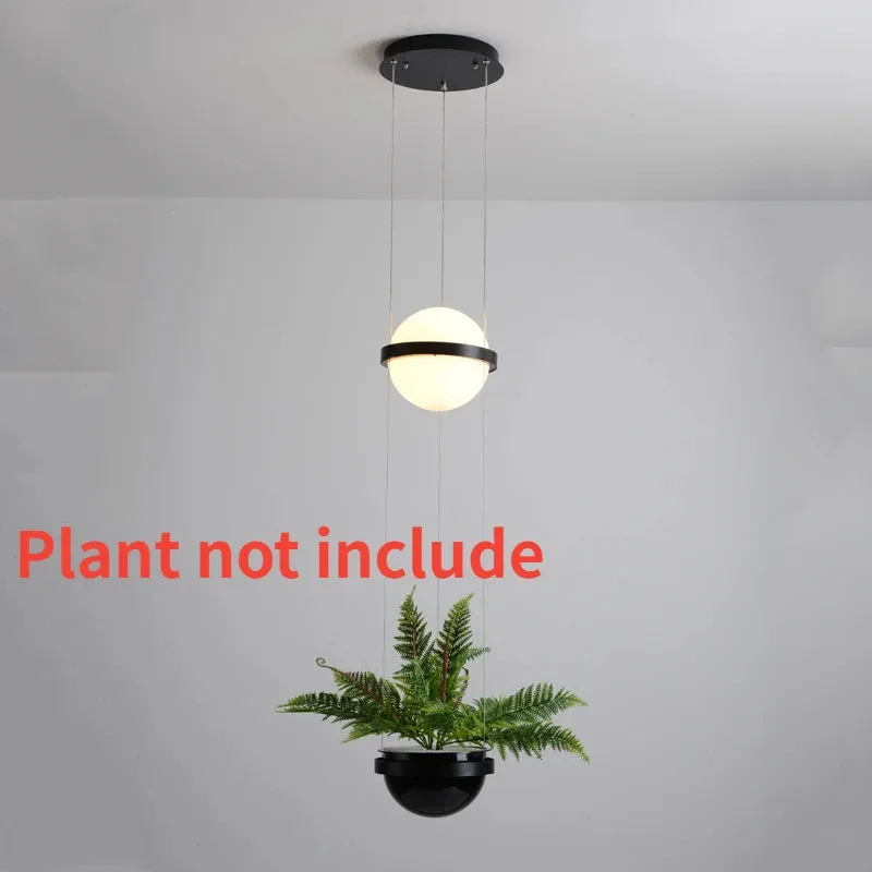 Led Glass Ball Pendant Light Plant Hanging Lamps