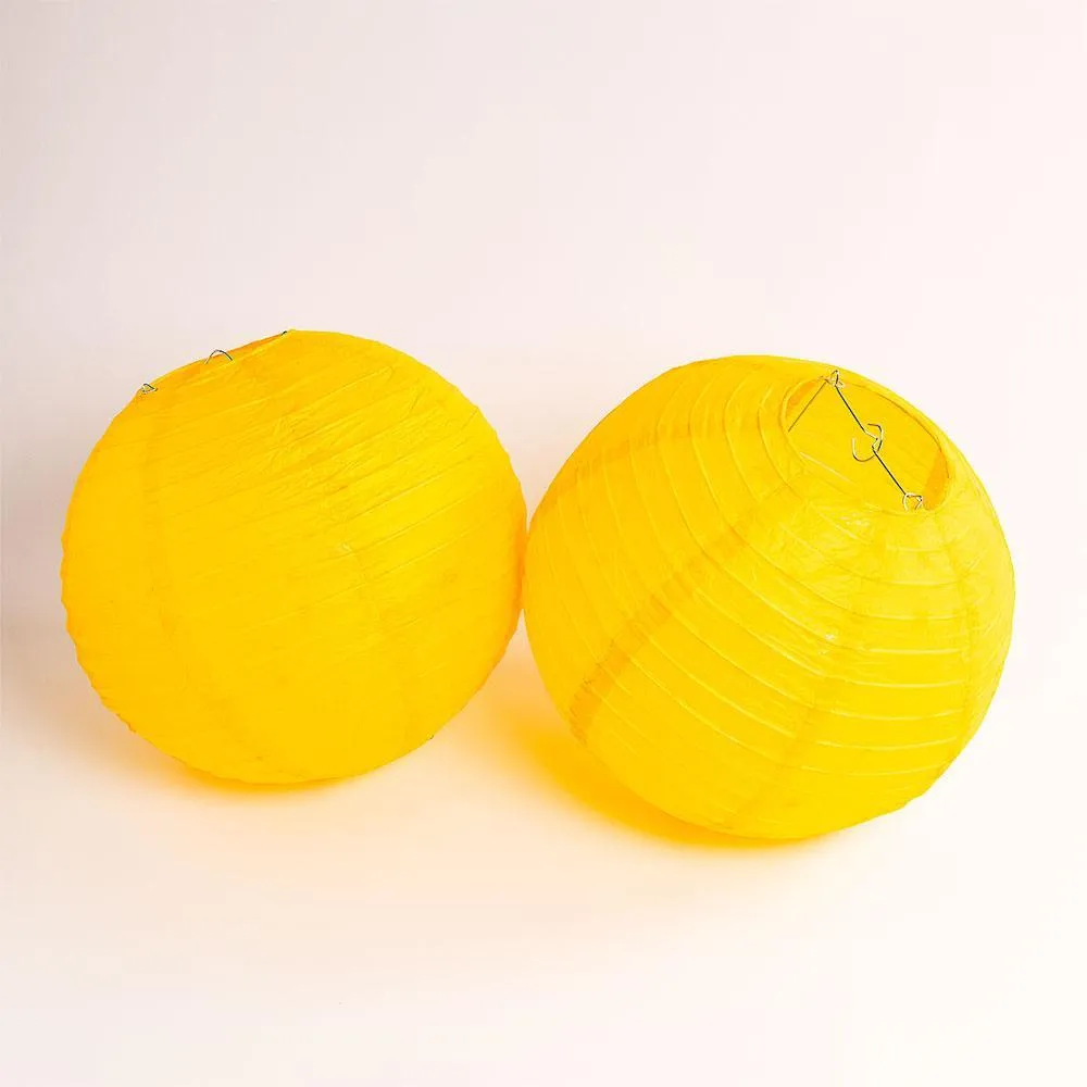 Minnesota Pro Football Paper Lanterns 6pc Combo Tailgating Party Pack (Purple/Yellow)  - by PaperLanternStore