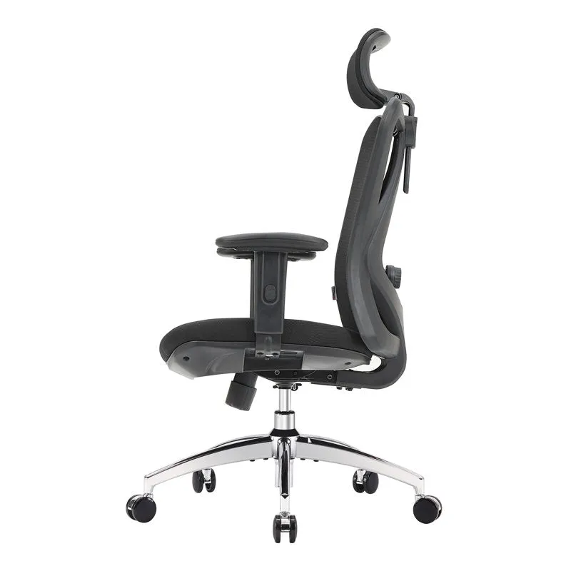 Noriko Ergonomic Chair