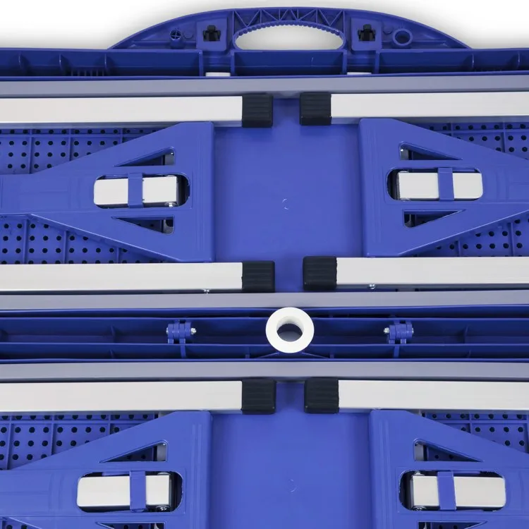 Picnic Table Portable Folding Table with Seats, Royal Blue