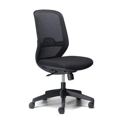 Polar Mesh Task Chair