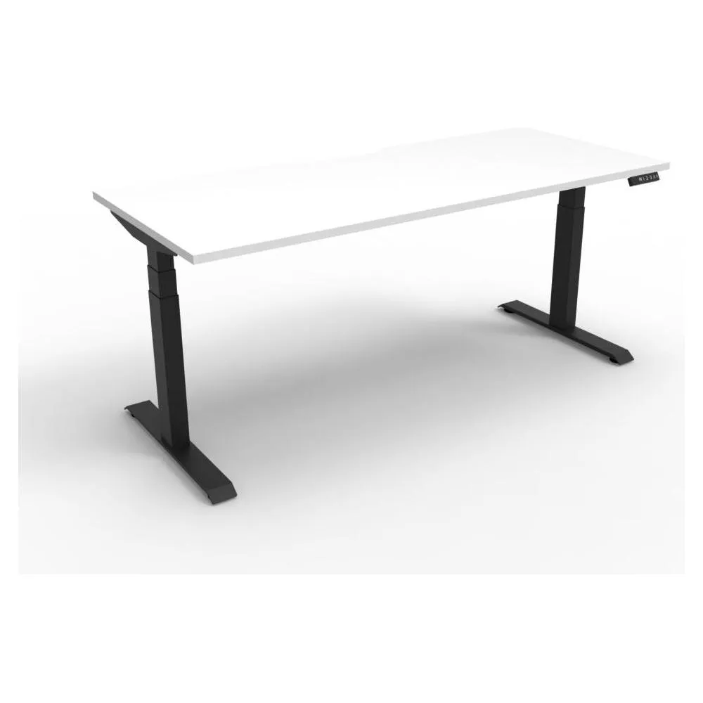 Standfit Lite Electric Standing Desk