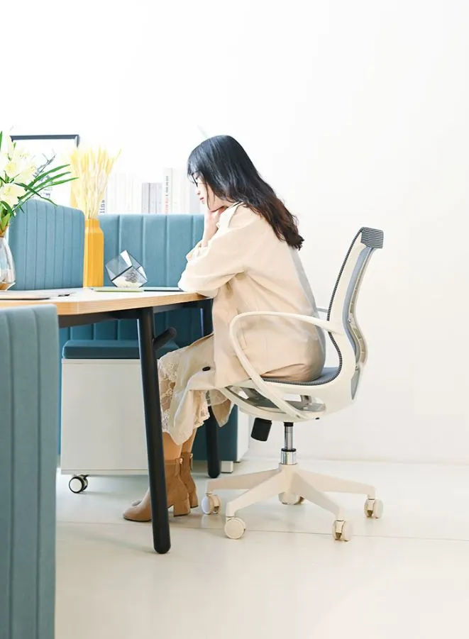 White Frame Middle Back Ergonomic Office Chair for Executive, Manager, for Home and Offices, Blue Middle Back Ergonomic Office Chair